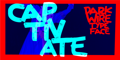 Dark Wire Font Poster 5