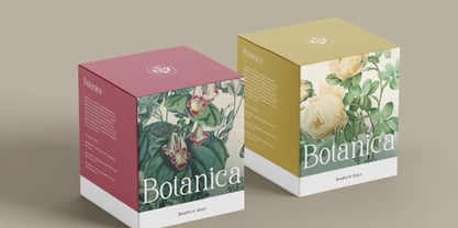 Freglia Bloom Font Poster 7