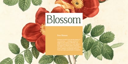 Freglia Bloom Font Poster 5