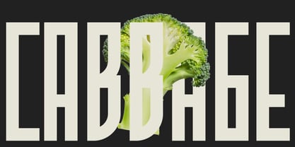 Nition Font Poster 8