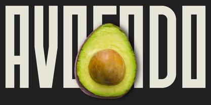 Nition Font Poster 6