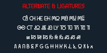 Nivora Font Poster 8