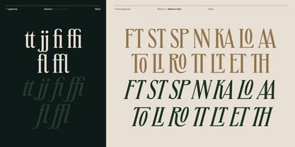 BT Absinotte Font Poster 10