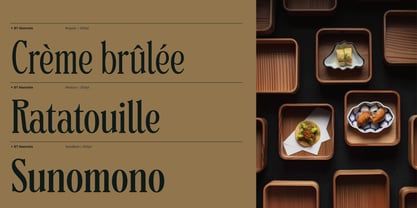 BT Absinotte Font Poster 7