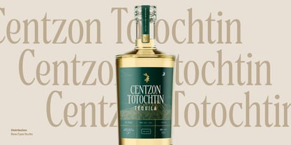 BT Absinotte Font Poster 8