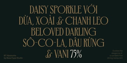 BT Absinotte Font Poster 6