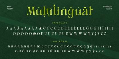 Sahron Font Poster 8