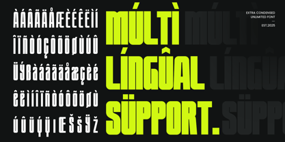 Unlimited Font Poster 14