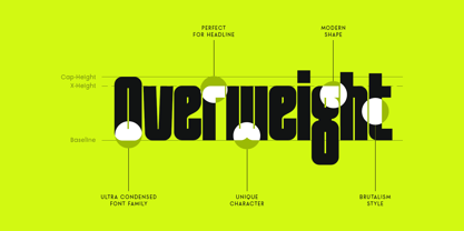 Unlimited Font Poster 10