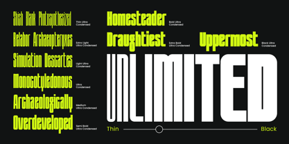Unlimited Font Poster 11