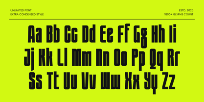 Unlimited Font Poster 12