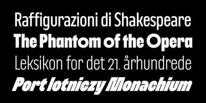 Nerissimo Font Poster 3