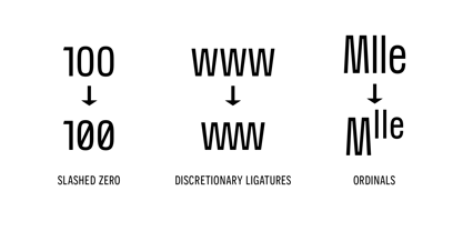 Nerissimo Font Poster 9