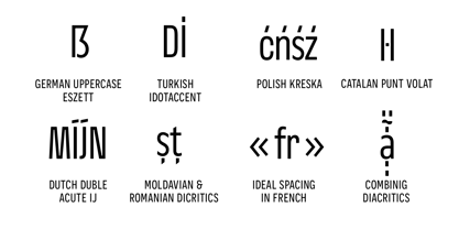 Nerissimo Font Poster 10