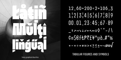 Nerissimo Font Poster 11