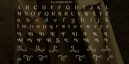 Soluga Font Poster 9