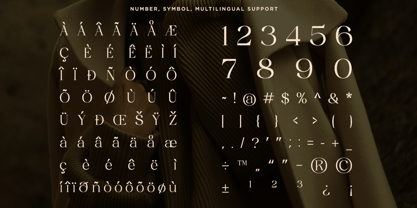 Soluga Font Poster 10
