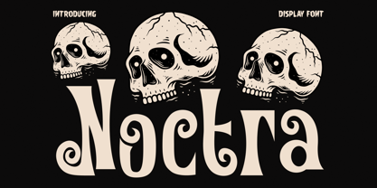 Noctra Font Poster 1