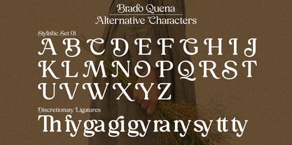 Brado Quena Font Poster 14