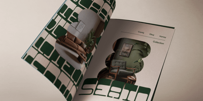 Bagisk Font Poster 3