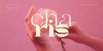 SNS Charis Font Poster 1