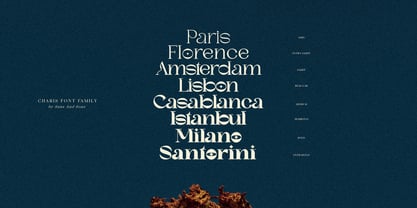 SNS Charis Font Poster 9