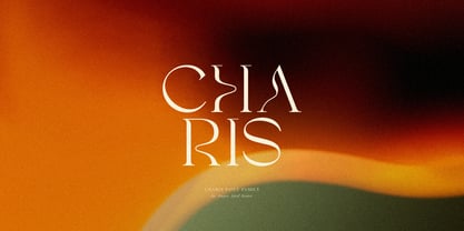 SNS Charis Font Poster 10