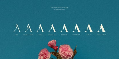 SNS Charis Font Poster 7