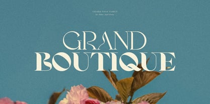 SNS Charis Font Poster 4