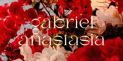 SNS Charis Font Poster 6