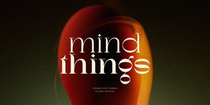 SNS Charis Font Poster 5