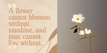 Wonder Heal Font Poster 8