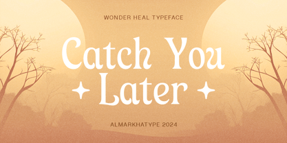 Wonder Heal Font Poster 15