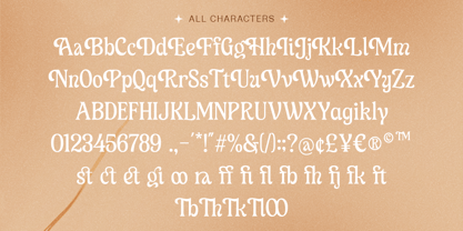 Wonder Heal Font Poster 14