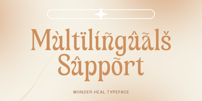 Wonder Heal Font Poster 13