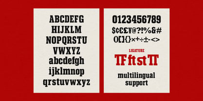 MC Peliod Course Font Poster 7