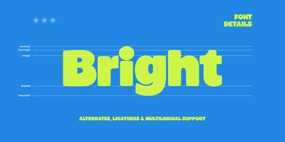 First Bunny Font Poster 7