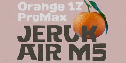 Screo Human Font Poster 6