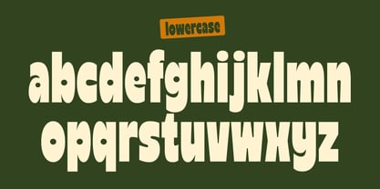 Reiger Font Poster 7