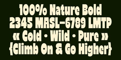 Reiger Font Poster 4