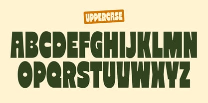 Reiger Font Poster 6