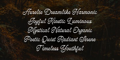 Monthera Font Poster 9