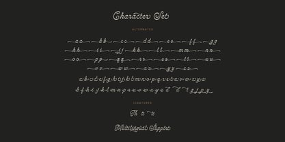 Monthera Font Poster 15