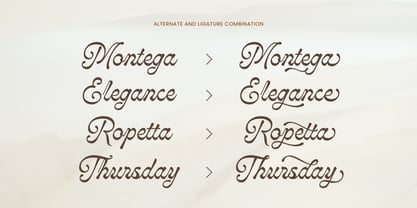 Monthera Font Poster 8