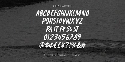 MC Ramsipe Carbion Font Poster 7