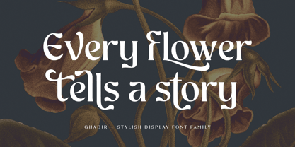 Ghadir Font Poster 8