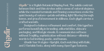 Ghadir Font Poster 4
