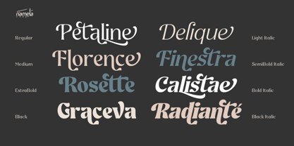 Ghadir Font Poster 5