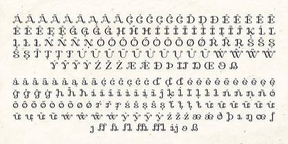 Vinya Font Poster 13