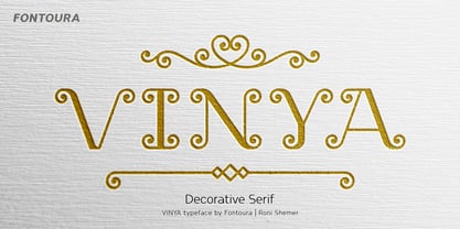 Vinya Font Poster 11